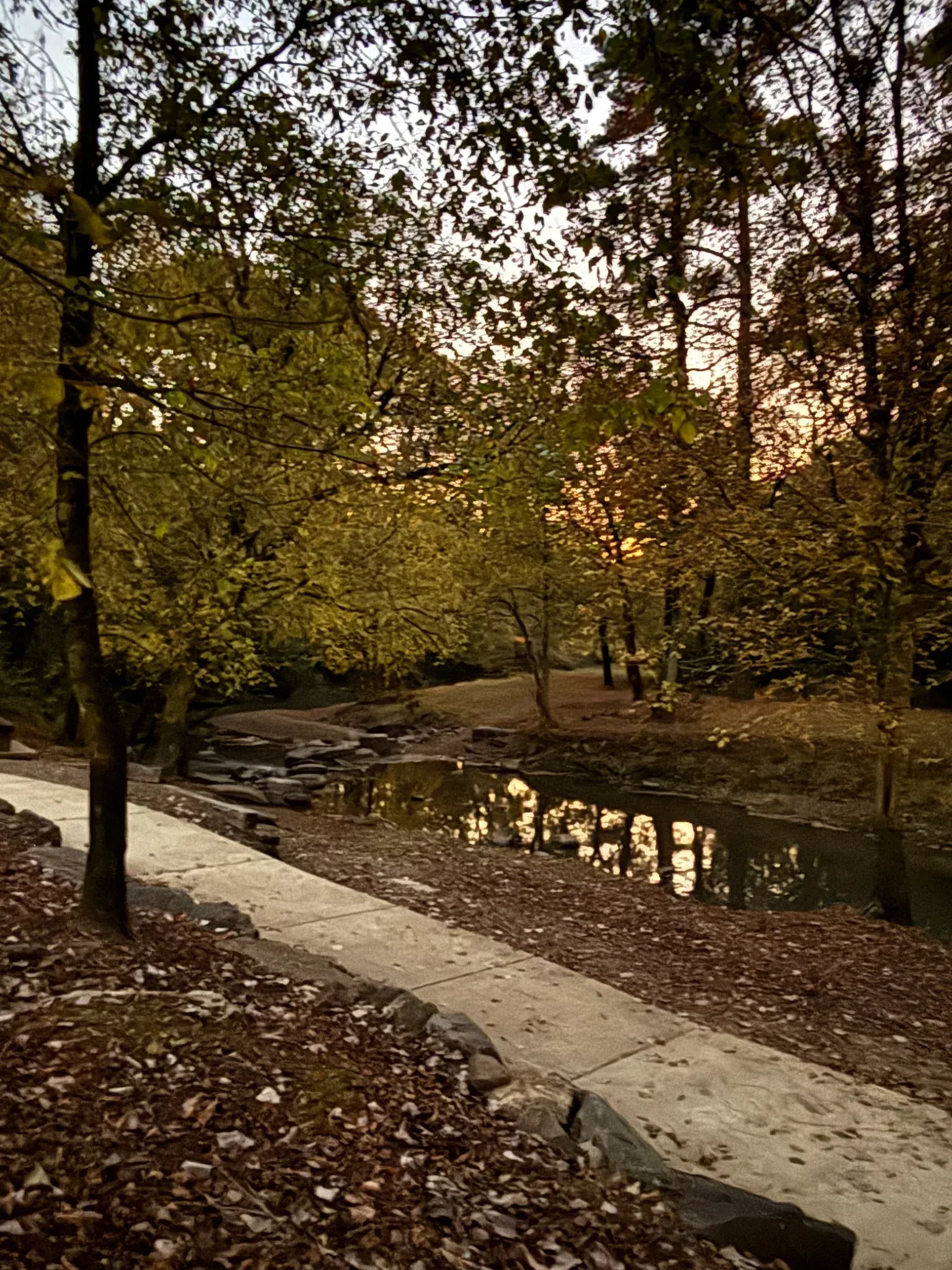 The Bark Park trail and play area