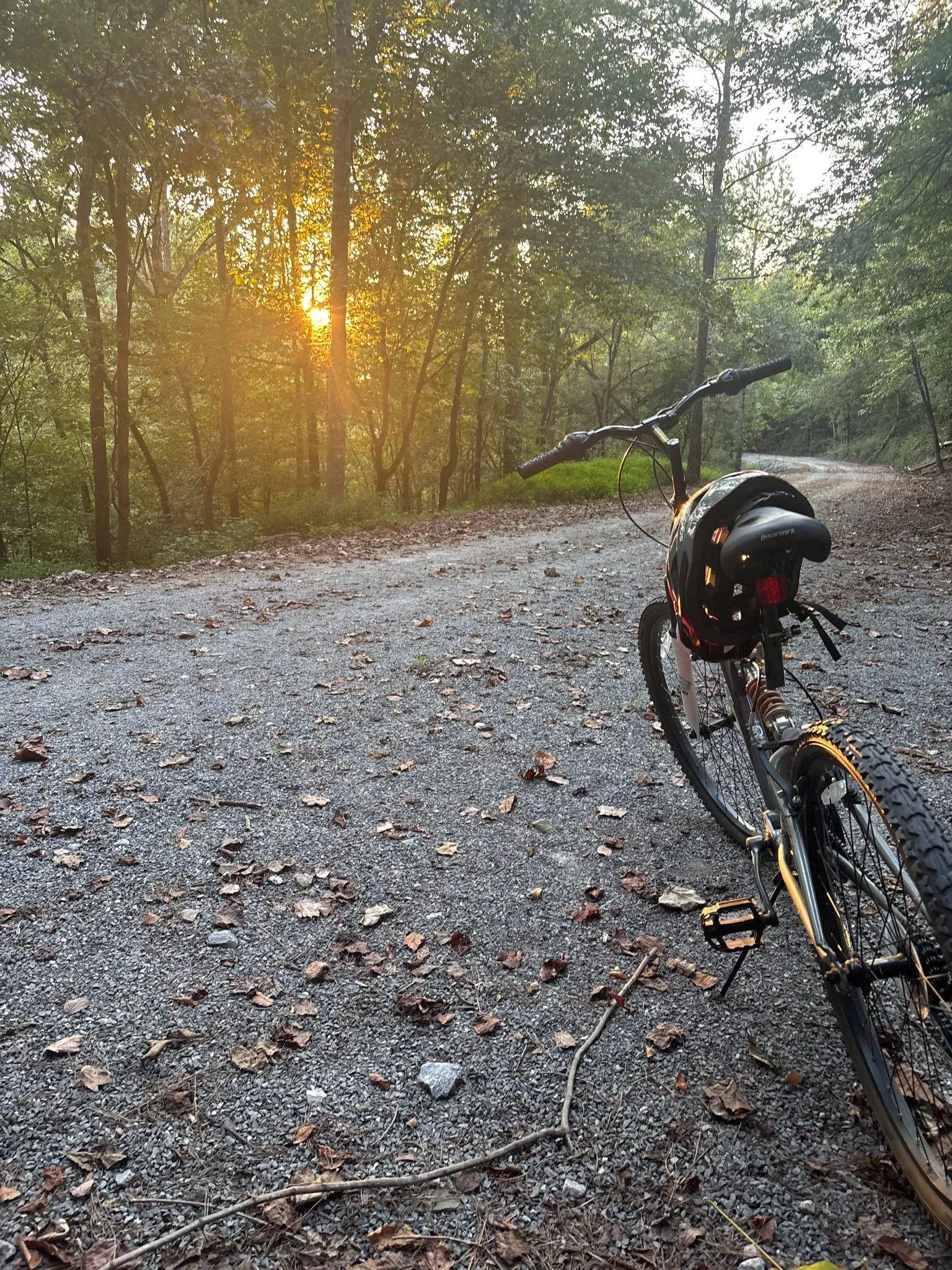 Rails-to-Trails gravel path through tree canopy