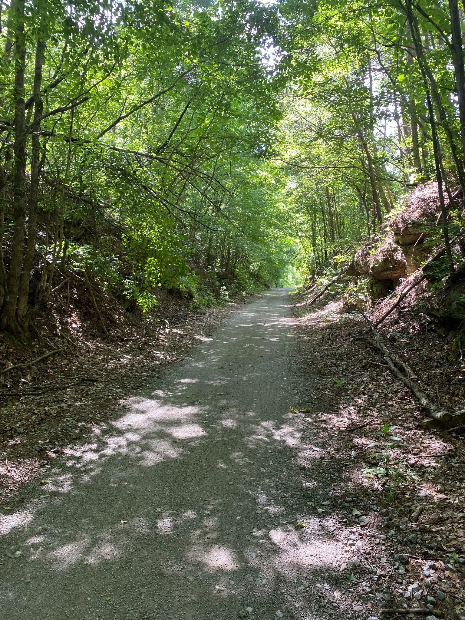 Historic railroad trestle and bridge on the trail